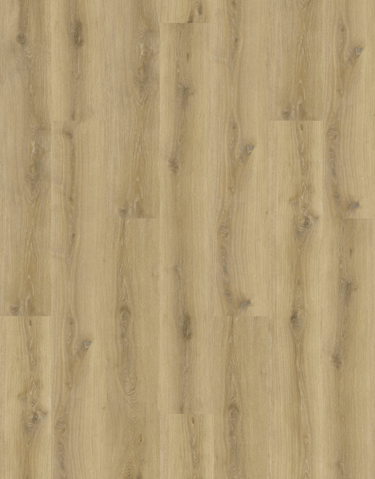 Summer Oak colourway